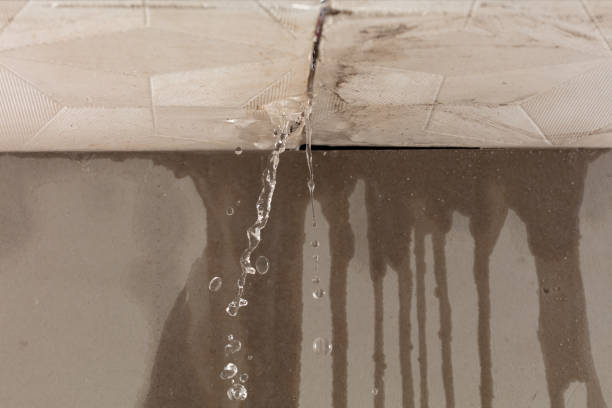 Professional Sewage Cleanup technician working in Waverly, NY
